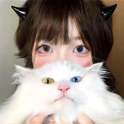狐獴家族